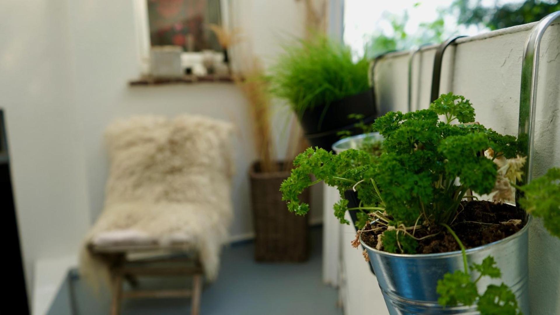 Kleines Glueck By Interior